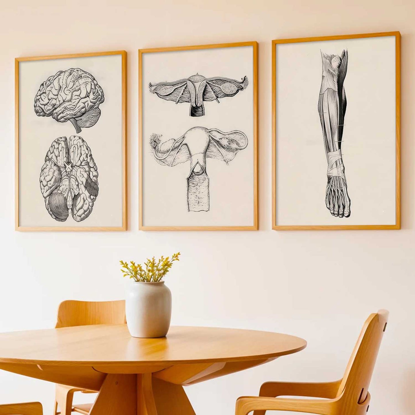 Human Anatomy Wall Art Paintings for Office Clinic