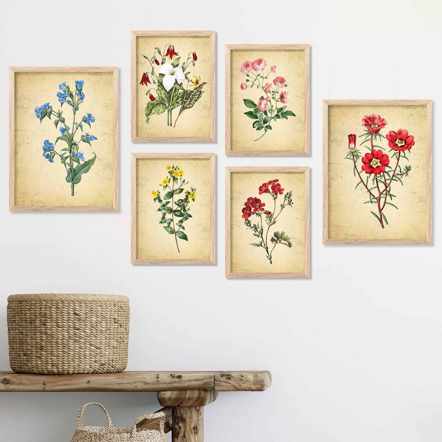 Nature Inspired Art Prints with Frame for Living Room Bedroom Home and Office Wall Decor Set of 6