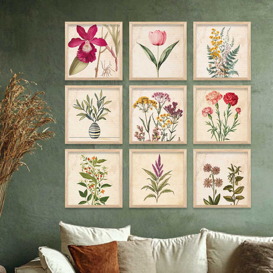 Botanical  Wall Art Paintings with Frame for Wall Decor