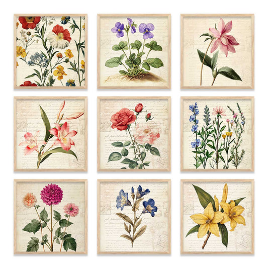 Botanical  Wall  Art Paintings with Frame for Wall Decor
