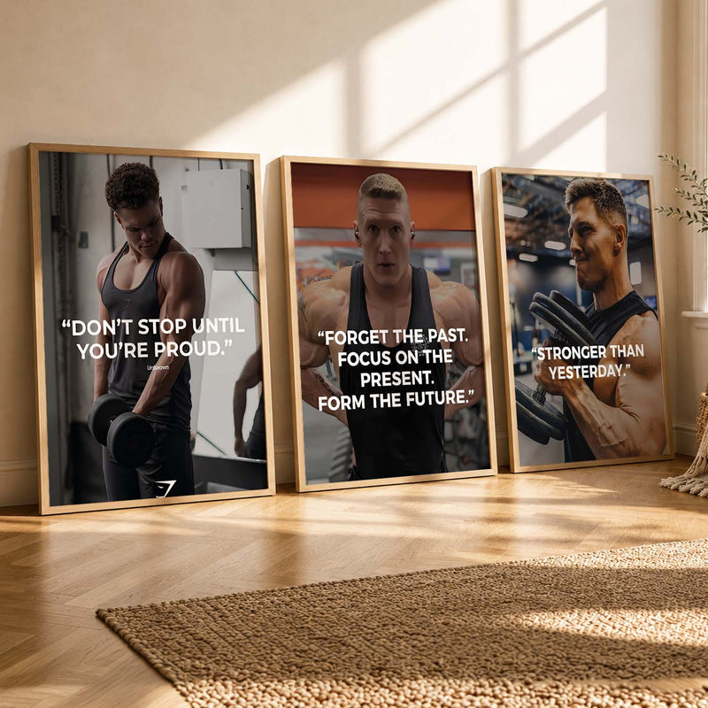 Bodybuilding Gym Motivational Quotes Wall Art Set of 3 Framed Prints for Fitness Room