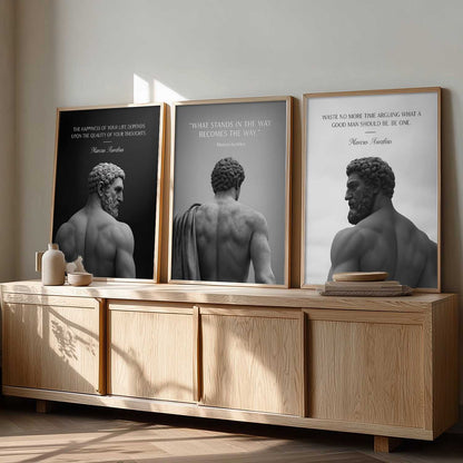 Marcus Aurelius Motivational Wall Art Paintings for Living Room Bedroom