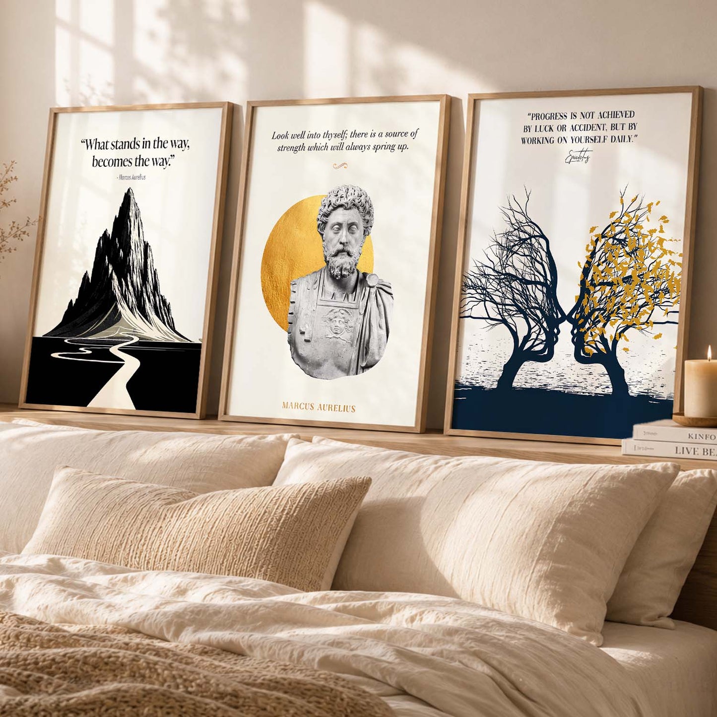 Stoic Philosophers Motivational Quotes Wall Art Set of 3 Framed Prints for Living Room