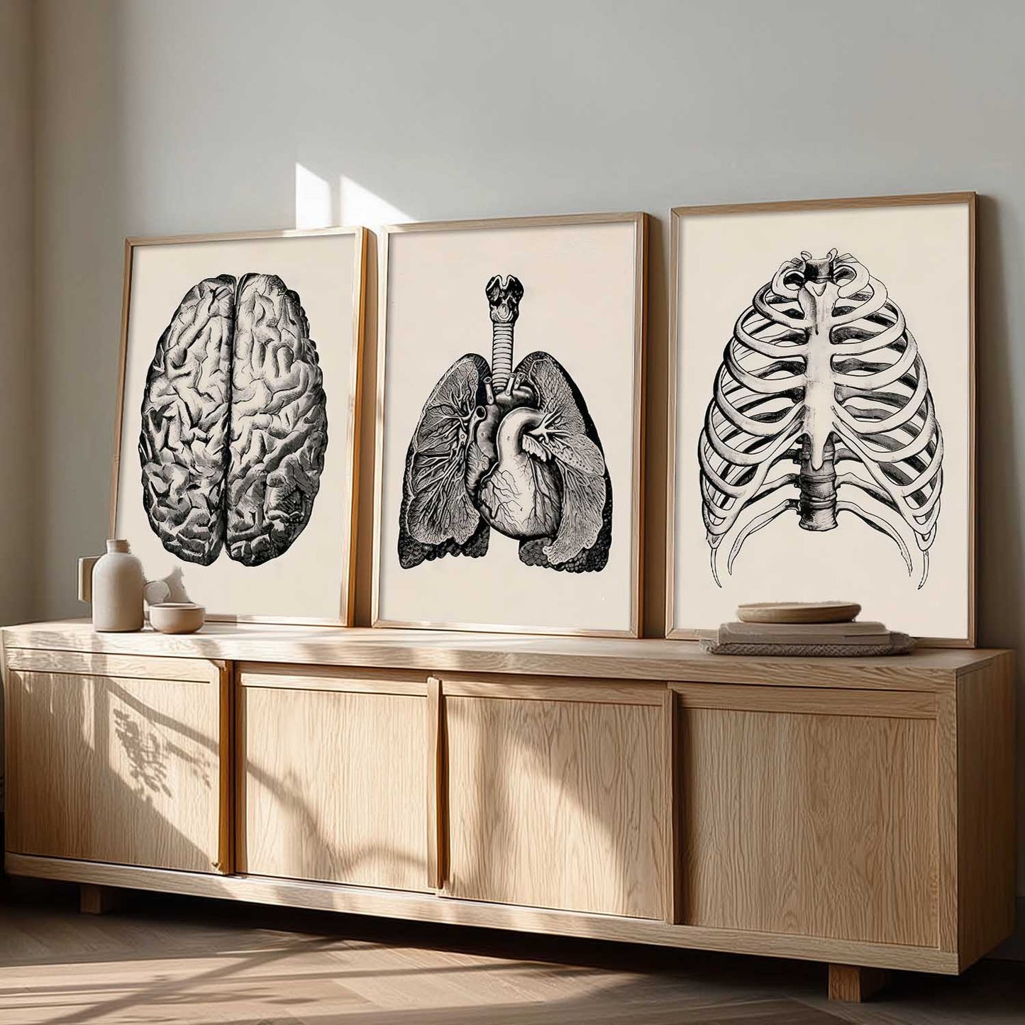 Skeleton Anatomy Medical Wall Art Paintings for Office Clinic