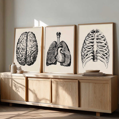 Skeleton Anatomy Medical Wall Art Paintings for Office Clinic