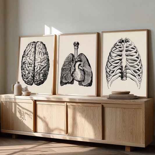 Skeleton Anatomy Medical Wall Art Paintings for Office Clinic