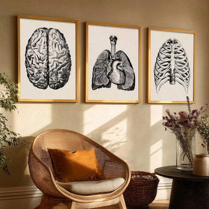 Skeleton Anatomy Medical Wall Art Paintings for Office Clinic