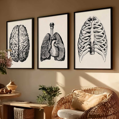 Skeleton Anatomy Medical Wall Art Paintings for Office Clinic