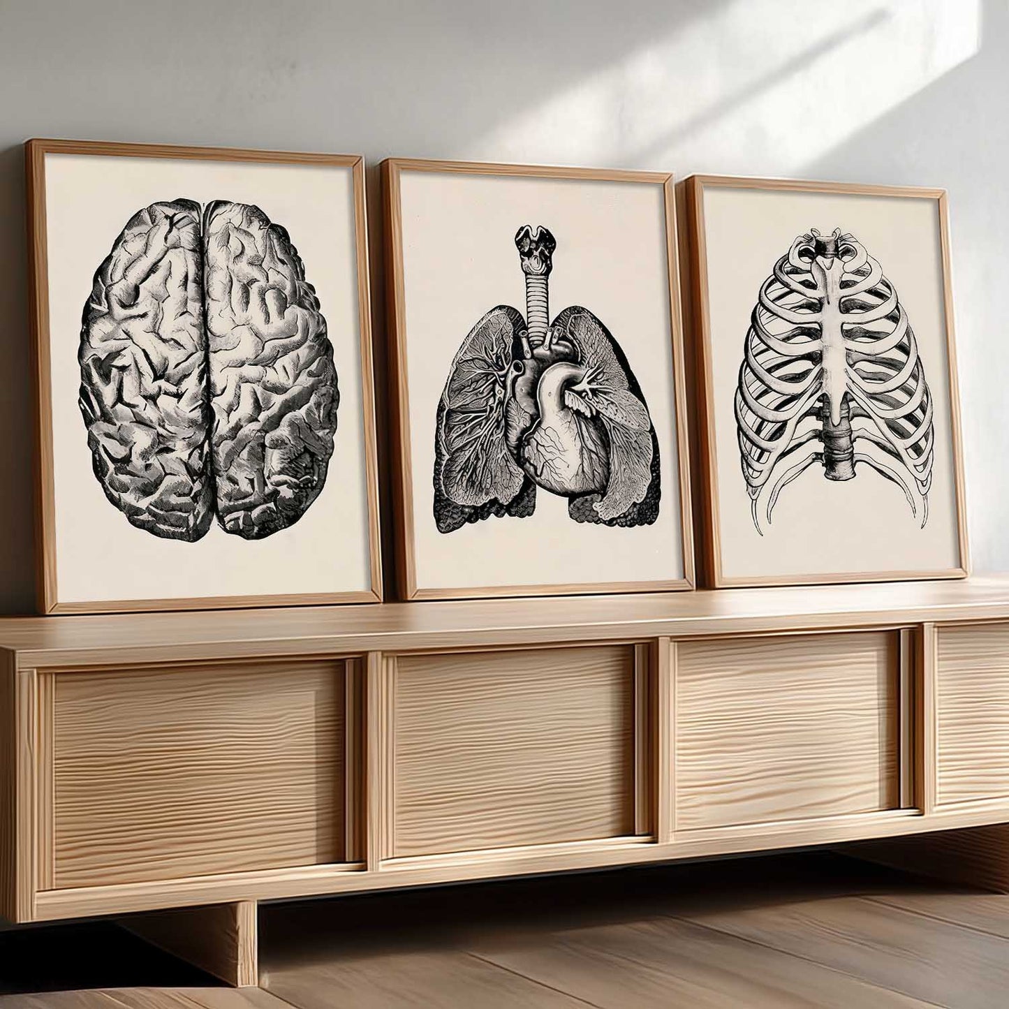 Skeleton Anatomy Medical Wall Art Paintings for Office Clinic