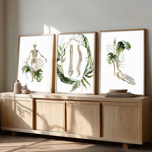 Boho Anatomy Chiropractic Wall Art Paintings for Office Clinic