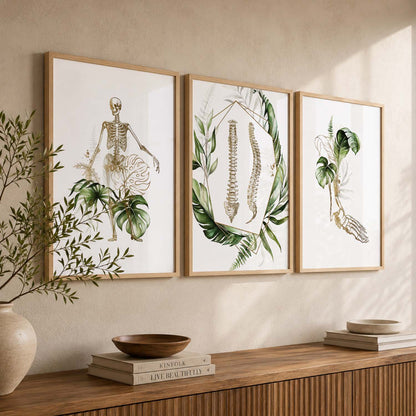 Boho Anatomy Chiropractic Wall Art Paintings for Office Clinic