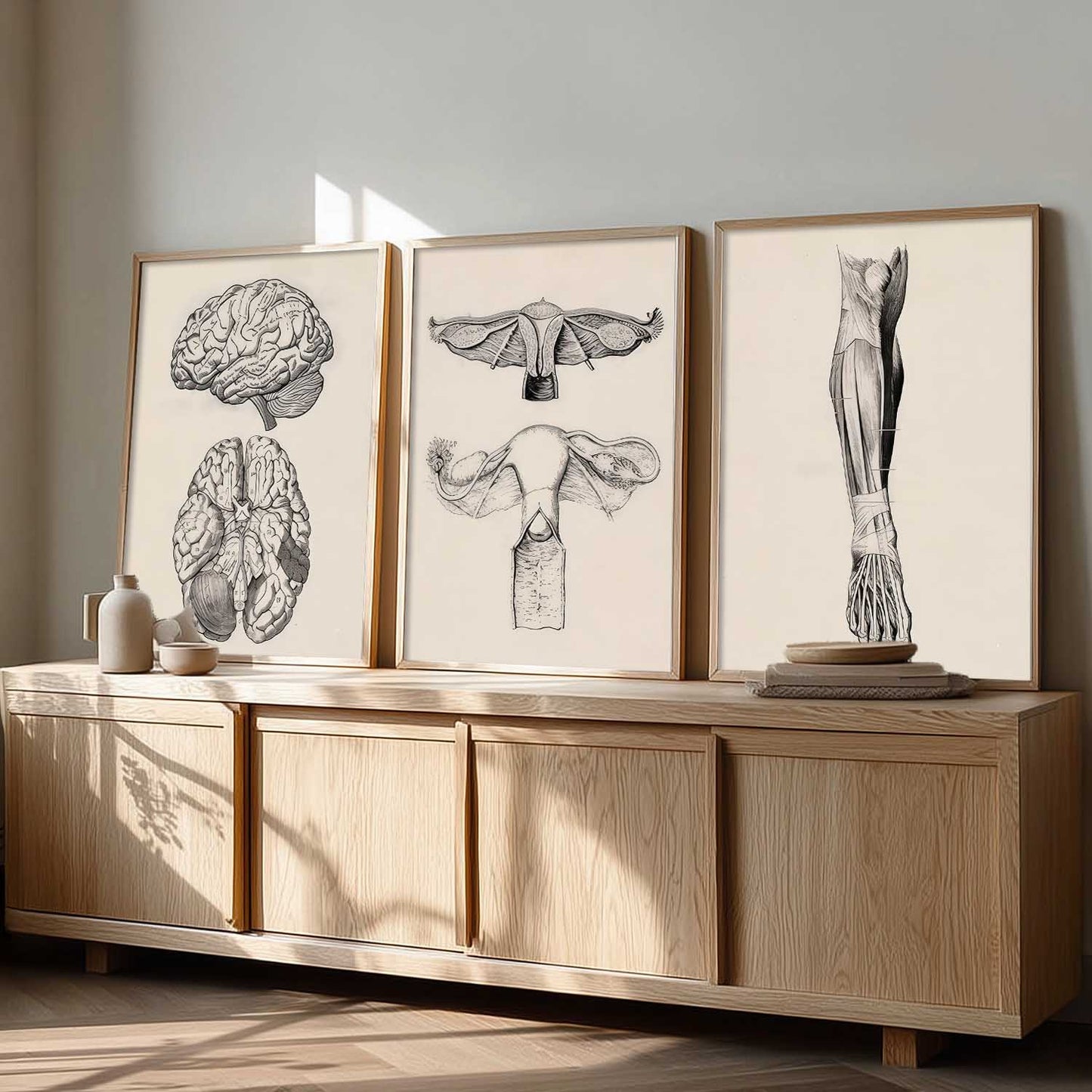 Human Anatomy Wall Art Paintings for Office Clinic