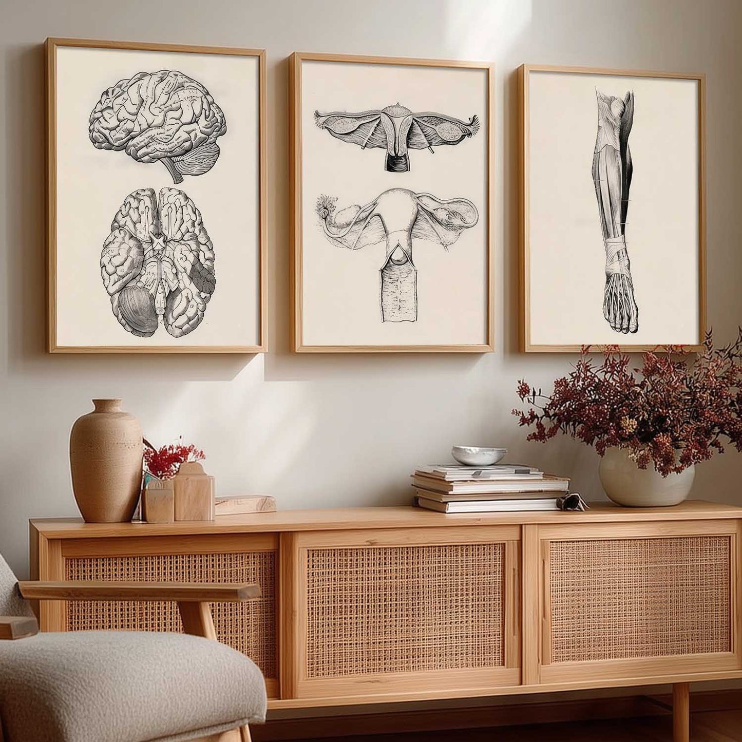 Human Anatomy Wall Art Paintings for Office Clinic