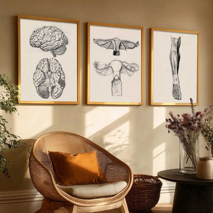 Human Anatomy Wall Art Paintings for Office Clinic