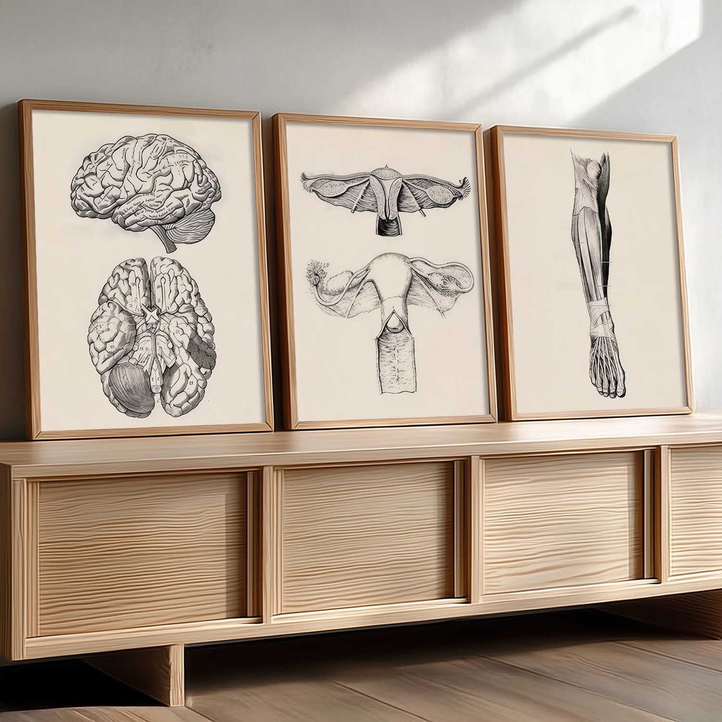 Human Anatomy Wall Art Paintings for Office Clinic