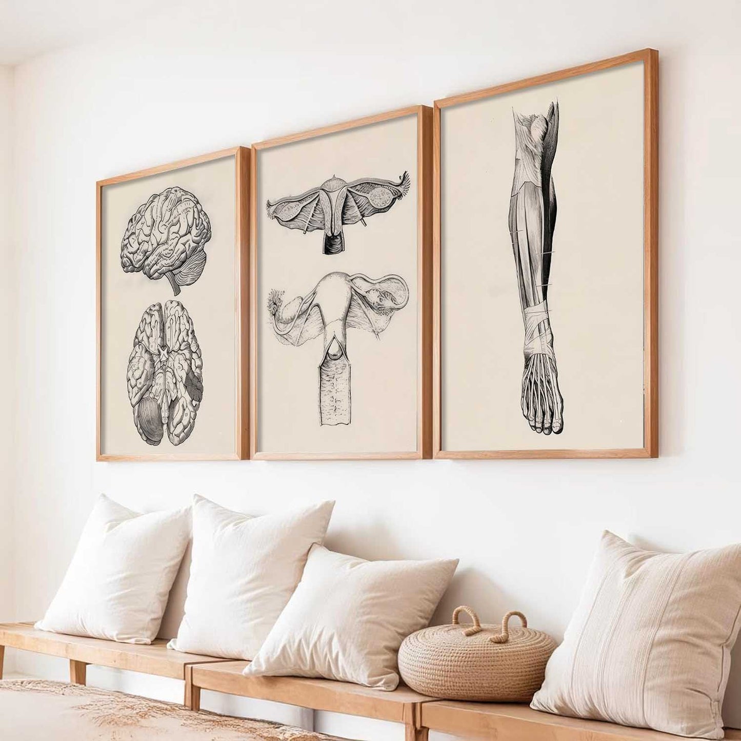 Human Anatomy Wall Art Paintings for Office Clinic