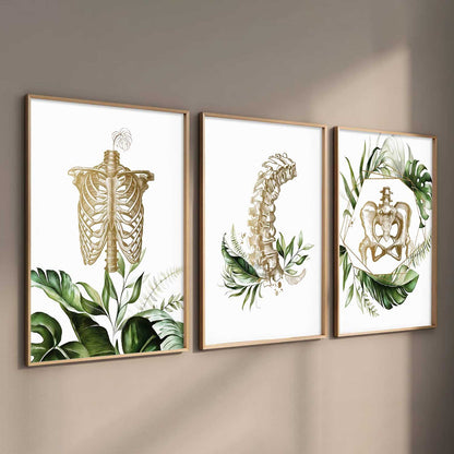 Boho Anatomy Chiropractic Wall Art Paintings for Office Clinic