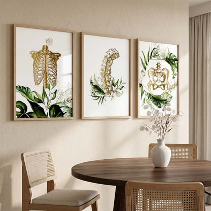 Boho Anatomy Chiropractic Wall Art Paintings for Office Clinic