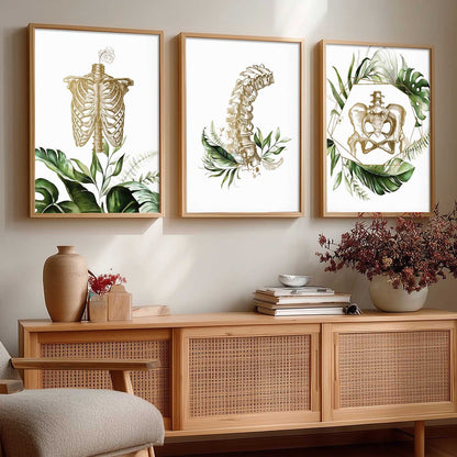 Boho Anatomy Chiropractic Wall Art Paintings for Office Clinic