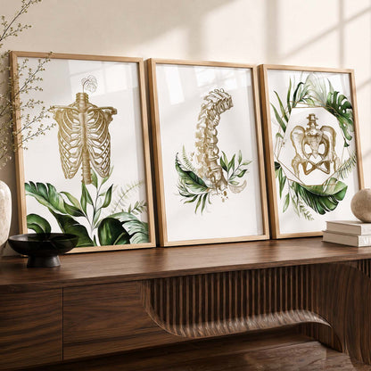 Boho Anatomy Chiropractic Wall Art Paintings for Office Clinic