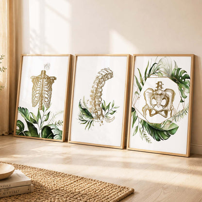 Boho Anatomy Chiropractic Wall Art Paintings for Office Clinic