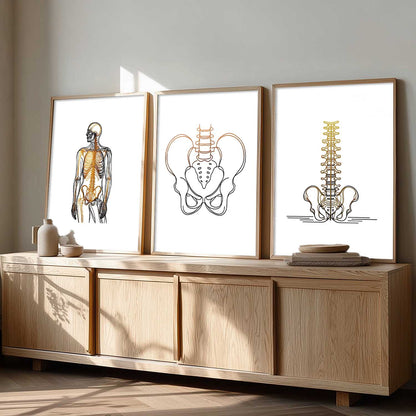 Human Anatomy Wall Art Paintings for Office Clinic