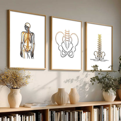 Human Anatomy Wall Art Paintings for Office Clinic