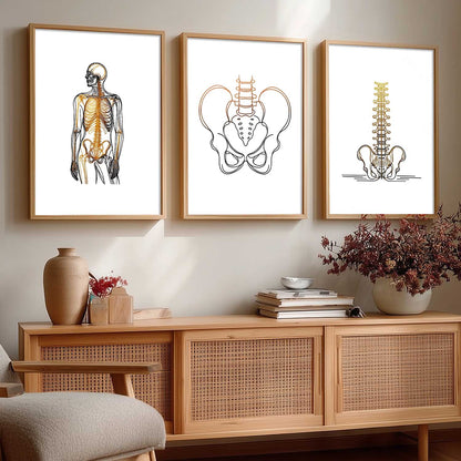 Human Anatomy Wall Art Paintings for Office Clinic