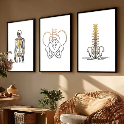 Human Anatomy Wall Art Paintings for Office Clinic