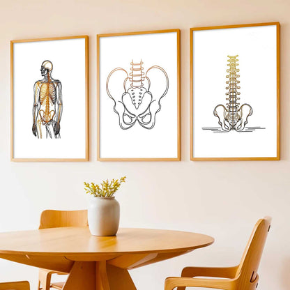 Human Anatomy Wall Art Paintings for Office Clinic