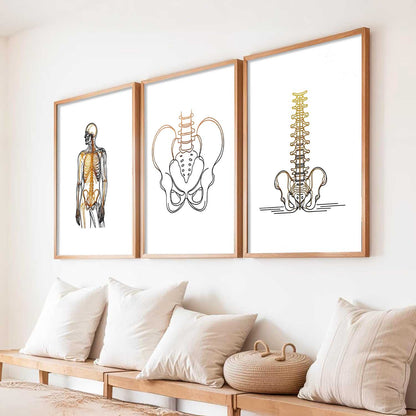 Human Anatomy Wall Art Paintings for Office Clinic