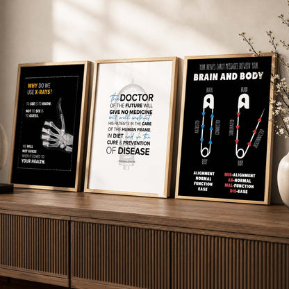 Human Anatomy Motivational Quotes Wall Art Set of 3 Framed Prints