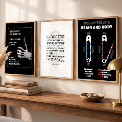 Human Anatomy Motivational Quotes Wall Art Set of 3 Framed Prints