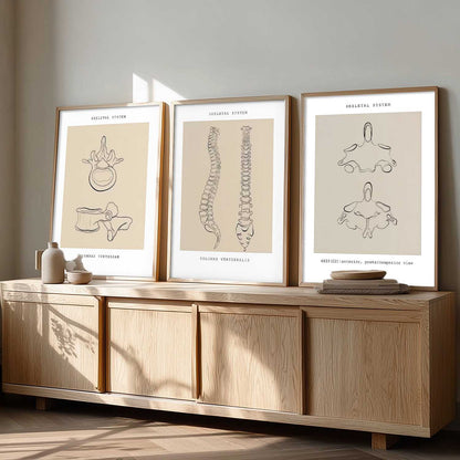Skeleton Anatomy Line Wall Art Paintings for Office Clinic