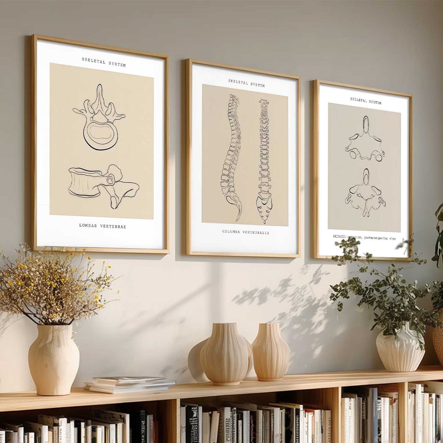Skeleton Anatomy Line Wall Art Paintings for Office Clinic