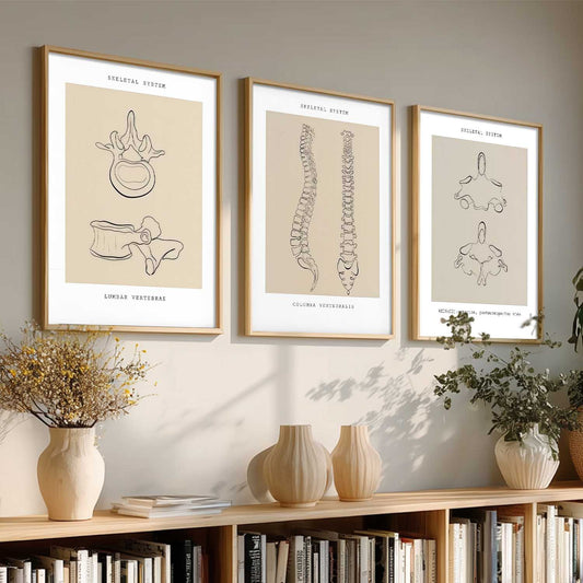 Skeleton Anatomy Line Wall Art Paintings for Office Clinic