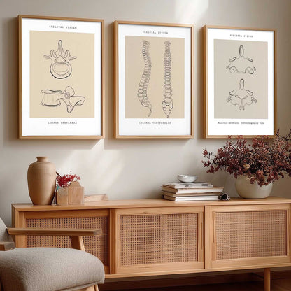 Skeleton Anatomy Line Wall Art Paintings for Office Clinic