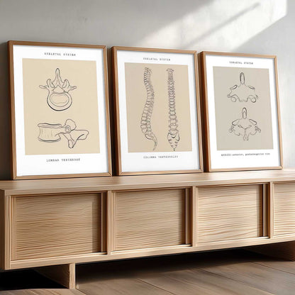 Skeleton Anatomy Line Wall Art Paintings for Office Clinic