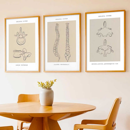 Skeleton Anatomy Line Wall Art Paintings for Office Clinic