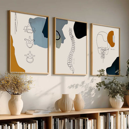 Chiropractic Medical Wall Art Paintings for office Clinic