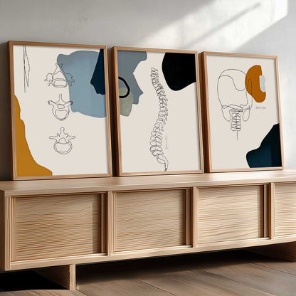 Chiropractic Medical Wall Art Paintings for office Clinic