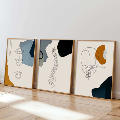 Chiropractic Medical Wall Art Paintings for office Clinic