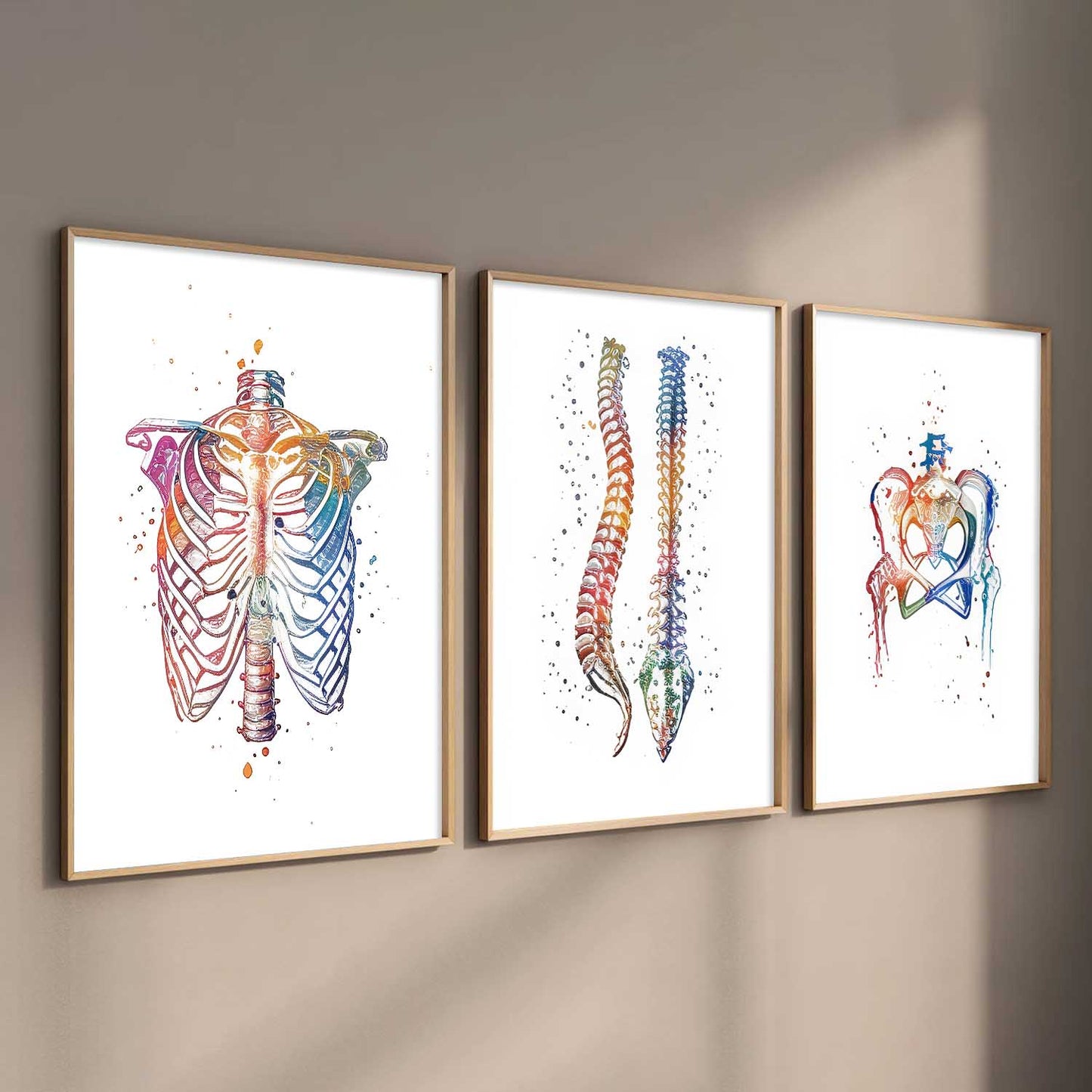 Colorful Body Parts Wall Art Paintings for office Clinic