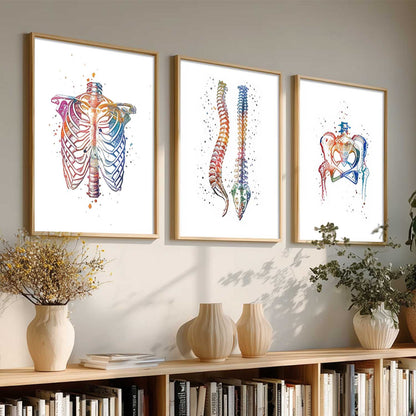 Colorful Body Parts Wall Art Paintings for office Clinic