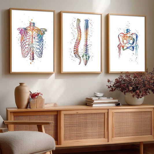 Colorful Body Parts Wall Art Paintings for office Clinic