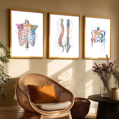 Colorful Body Parts Wall Art Paintings for office Clinic