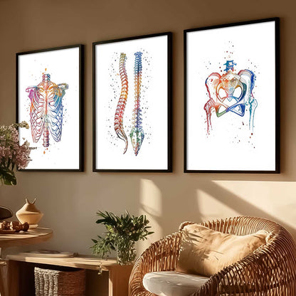 Colorful Body Parts Wall Art Paintings for office Clinic