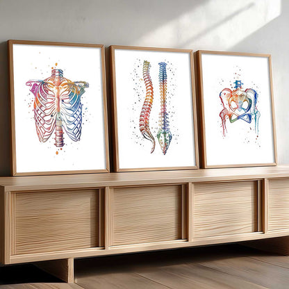 Colorful Body Parts Wall Art Paintings for office Clinic