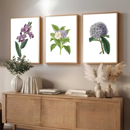 Floral Wall Art Home Decoration | Aesthetic Paintings With Frame For Living Room Bed Room Hotel Wall Decor Digital Reprint