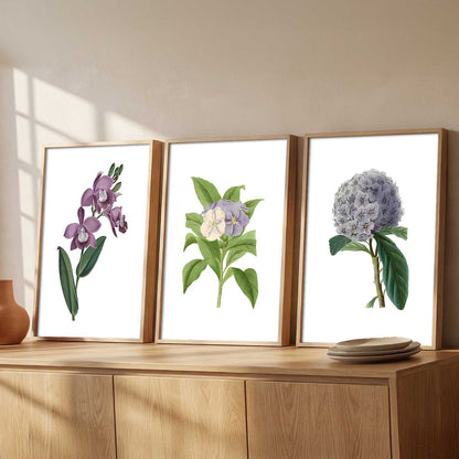 Floral Wall Art Home Decoration | Aesthetic Paintings With Frame For Living Room Bed Room Hotel Wall Decor Digital Reprint